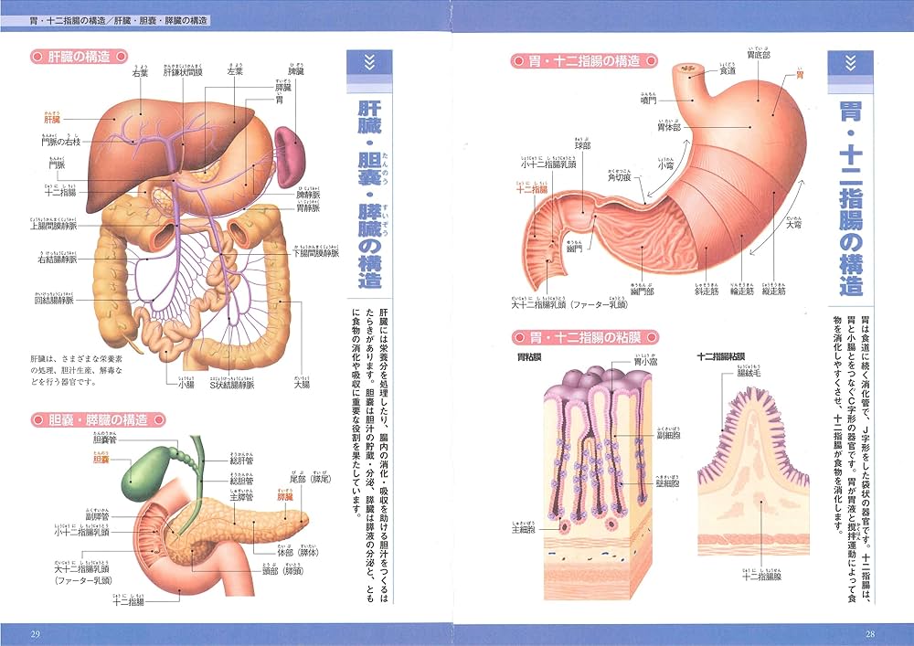 オールカラー版 家庭の医学 | 野村 馨 |本 | 通販 | Amazon